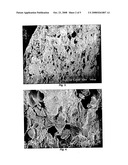 Polysaccharide-Inorganic Composite Particles as Performance Additives for Superabsorbent Polymers diagram and image