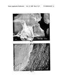 Polysaccharide-Inorganic Composite Particles as Performance Additives for Superabsorbent Polymers diagram and image