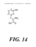 Bioherbicide from Festuca Spp diagram and image