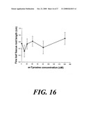 Bioherbicide from Festuca Spp diagram and image