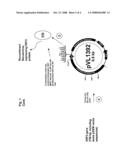 USE OF A PCV2 IMMUNOGENIC COMPOSITION FOR LESSENING CLINICAL SYMPTOMS IN PIGS diagram and image