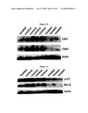 COMPOSITION AND METHOD FOR CANCER TREATMENT AND PREVENTION diagram and image