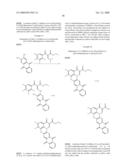 SUBSTITUTED QUINOBENZOXAZINE ANALOGS diagram and image