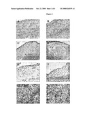 Cannabinoid Compositions and Methods of Use Thereof diagram and image