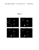 Method and Devices for Screening Cervical Cancer diagram and image