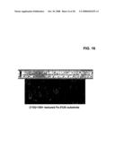 Semiconductor-based, large-area, flexible, electronic devices on <100> oriented substrates diagram and image