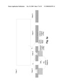 GaN-BASED PERMEABLE BASE TRANSISTOR AND METHOD OF FABRICATION diagram and image