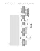 GaN-BASED PERMEABLE BASE TRANSISTOR AND METHOD OF FABRICATION diagram and image