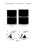 Cardiac Stem Cells diagram and image