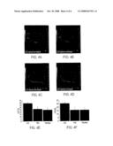 Cardiac Stem Cells diagram and image