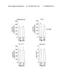 Antibodies to Cross-Linked Beta-Amyloid Protein Oligomers diagram and image