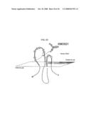 Anti-perp recombinant antibody diagram and image