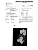 Compositions and Methods for Delivery of Antitumor Agents diagram and image