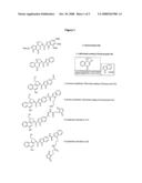 Compositions and Methods for Delivery of Antitumor Agents diagram and image