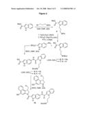 Compositions and Methods for Delivery of Antitumor Agents diagram and image