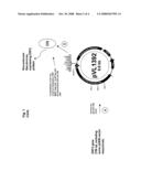 USE OF A PCV2 IMMUNOGENIC COMPOSITION FOR LESSENING CLINICAL SYMPTOMS IN PIGS diagram and image