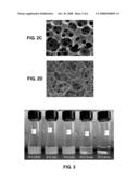 IMMOBILIZING PARTICLES ONTO SURFACES diagram and image