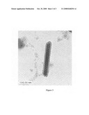 Polymerisation Process and Polymer Product diagram and image