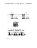 Brca1 Markers diagram and image