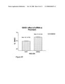 Brca1 Markers diagram and image