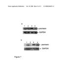 Brca1 Markers diagram and image