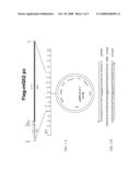 MODEL SYSTEM FOR IDENTIFYING ANTI-CANCER AGENTS diagram and image