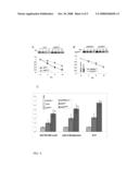 MODEL SYSTEM FOR IDENTIFYING ANTI-CANCER AGENTS diagram and image