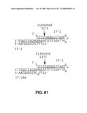 DETECTION OF NUCEIC ACIDS BY MULTIPLE SEQUENTIAL INVASIVE CLEAVAGES diagram and image