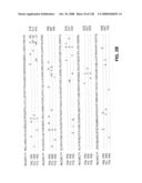 DETECTION OF NUCEIC ACIDS BY MULTIPLE SEQUENTIAL INVASIVE CLEAVAGES diagram and image