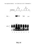 DETECTION OF NUCEIC ACIDS BY MULTIPLE SEQUENTIAL INVASIVE CLEAVAGES diagram and image