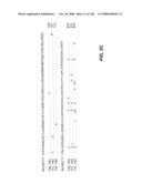 DETECTION OF NUCEIC ACIDS BY MULTIPLE SEQUENTIAL INVASIVE CLEAVAGES diagram and image