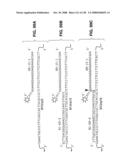 DETECTION OF NUCEIC ACIDS BY MULTIPLE SEQUENTIAL INVASIVE CLEAVAGES diagram and image