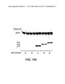 DETECTION OF NUCEIC ACIDS BY MULTIPLE SEQUENTIAL INVASIVE CLEAVAGES diagram and image