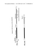 DETECTION OF NUCEIC ACIDS BY MULTIPLE SEQUENTIAL INVASIVE CLEAVAGES diagram and image