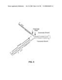 DETECTION OF NUCEIC ACIDS BY MULTIPLE SEQUENTIAL INVASIVE CLEAVAGES diagram and image