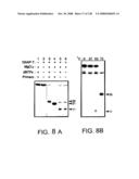 DETECTION OF NUCEIC ACIDS BY MULTIPLE SEQUENTIAL INVASIVE CLEAVAGES diagram and image