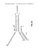 DETECTION OF NUCEIC ACIDS BY MULTIPLE SEQUENTIAL INVASIVE CLEAVAGES diagram and image