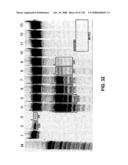 DETECTION OF NUCEIC ACIDS BY MULTIPLE SEQUENTIAL INVASIVE CLEAVAGES diagram and image