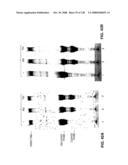 DETECTION OF NUCEIC ACIDS BY MULTIPLE SEQUENTIAL INVASIVE CLEAVAGES diagram and image