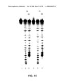 DETECTION OF NUCEIC ACIDS BY MULTIPLE SEQUENTIAL INVASIVE CLEAVAGES diagram and image