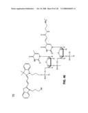 DETECTION OF NUCEIC ACIDS BY MULTIPLE SEQUENTIAL INVASIVE CLEAVAGES diagram and image