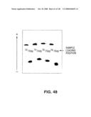 DETECTION OF NUCEIC ACIDS BY MULTIPLE SEQUENTIAL INVASIVE CLEAVAGES diagram and image