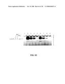 DETECTION OF NUCEIC ACIDS BY MULTIPLE SEQUENTIAL INVASIVE CLEAVAGES diagram and image