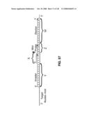 DETECTION OF NUCEIC ACIDS BY MULTIPLE SEQUENTIAL INVASIVE CLEAVAGES diagram and image