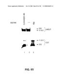 DETECTION OF NUCEIC ACIDS BY MULTIPLE SEQUENTIAL INVASIVE CLEAVAGES diagram and image