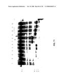 DETECTION OF NUCEIC ACIDS BY MULTIPLE SEQUENTIAL INVASIVE CLEAVAGES diagram and image