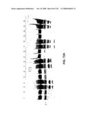 DETECTION OF NUCEIC ACIDS BY MULTIPLE SEQUENTIAL INVASIVE CLEAVAGES diagram and image