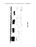 DETECTION OF NUCEIC ACIDS BY MULTIPLE SEQUENTIAL INVASIVE CLEAVAGES diagram and image