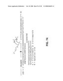 DETECTION OF NUCEIC ACIDS BY MULTIPLE SEQUENTIAL INVASIVE CLEAVAGES diagram and image