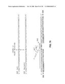 DETECTION OF NUCEIC ACIDS BY MULTIPLE SEQUENTIAL INVASIVE CLEAVAGES diagram and image